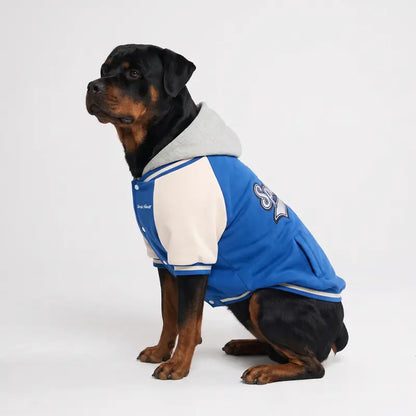 Spark Paws Varsity Dog Jacket - Dog Hoodie Winter Coat for Small Large Dogs | Medium XL 3XL 5XL Warm Fleece-Lined Puppy Clothes, Letterman Style with Faux Hood, Fits Pitbull Frenchie, Girl or Boy