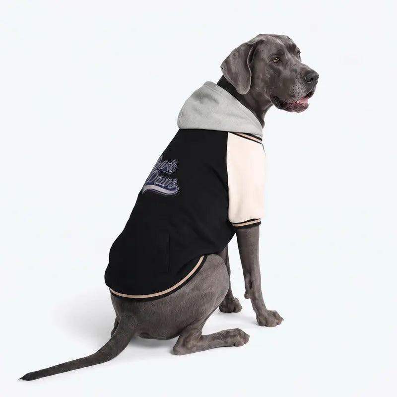 Spark Paws Varsity Dog Jacket - Dog Hoodie Winter Coat for Small Large Dogs | Medium XL 3XL 5XL Warm Fleece-Lined Puppy Clothes, Letterman Style with Faux Hood, Fits Pitbull Frenchie, Girl or Boy
