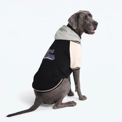 Spark Paws Varsity Dog Jacket - Dog Hoodie Winter Coat for Small Large Dogs | Medium XL 3XL 5XL Warm Fleece-Lined Puppy Clothes, Letterman Style with Faux Hood, Fits Pitbull Frenchie, Girl or Boy