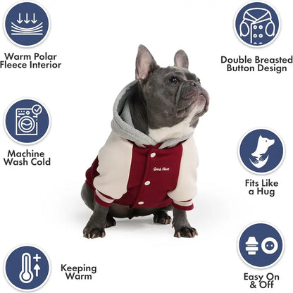 Spark Paws Varsity Dog Jacket - Dog Hoodie Winter Coat for Small Large Dogs | Medium XL 3XL 5XL Warm Fleece-Lined Puppy Clothes, Letterman Style with Faux Hood, Fits Pitbull Frenchie, Girl or Boy