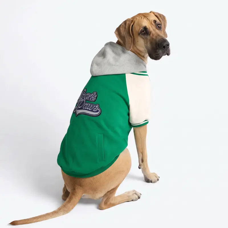 Spark Paws Varsity Dog Jacket - Dog Hoodie Winter Coat for Small Large Dogs | Medium XL 3XL 5XL Warm Fleece-Lined Puppy Clothes, Letterman Style with Faux Hood, Fits Pitbull Frenchie, Girl or Boy