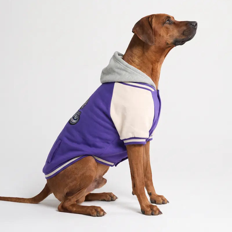 Spark Paws Varsity Dog Jacket - Dog Hoodie Winter Coat for Small Large Dogs | Medium XL 3XL 5XL Warm Fleece-Lined Puppy Clothes, Letterman Style with Faux Hood, Fits Pitbull Frenchie, Girl or Boy