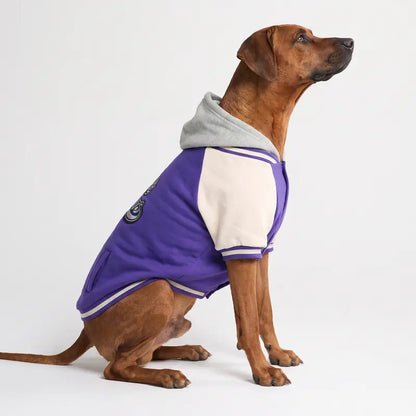 Spark Paws Varsity Dog Jacket - Dog Hoodie Winter Coat for Small Large Dogs | Medium XL 3XL 5XL Warm Fleece-Lined Puppy Clothes, Letterman Style with Faux Hood, Fits Pitbull Frenchie, Girl or Boy