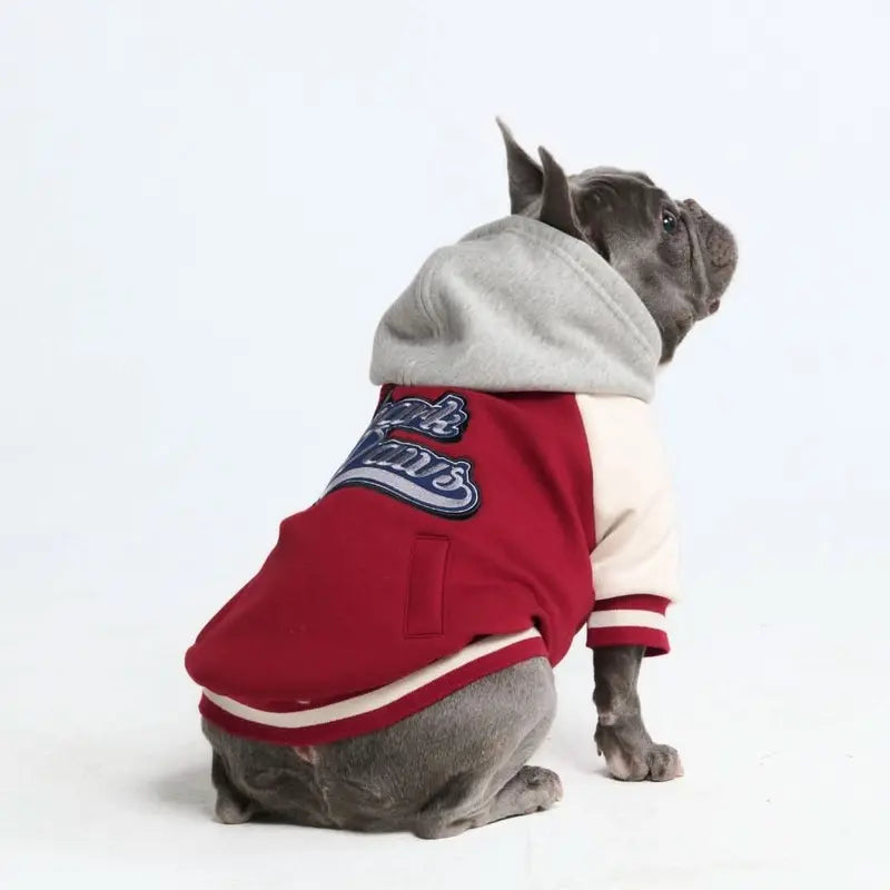 Spark Paws Varsity Dog Jacket - Dog Hoodie Winter Coat for Small Large Dogs | Medium XL 3XL 5XL Warm Fleece-Lined Puppy Clothes, Letterman Style with Faux Hood, Fits Pitbull Frenchie, Girl or Boy