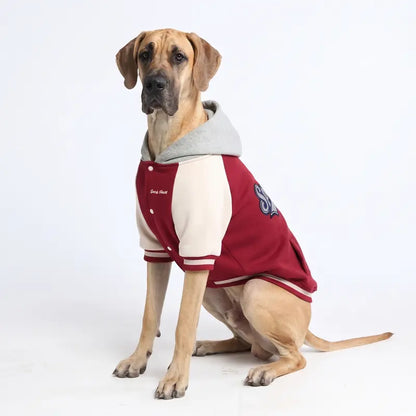 Spark Paws Varsity Dog Jacket - Dog Hoodie Winter Coat for Small Large Dogs | Medium XL 3XL 5XL Warm Fleece-Lined Puppy Clothes, Letterman Style with Faux Hood, Fits Pitbull Frenchie, Girl or Boy
